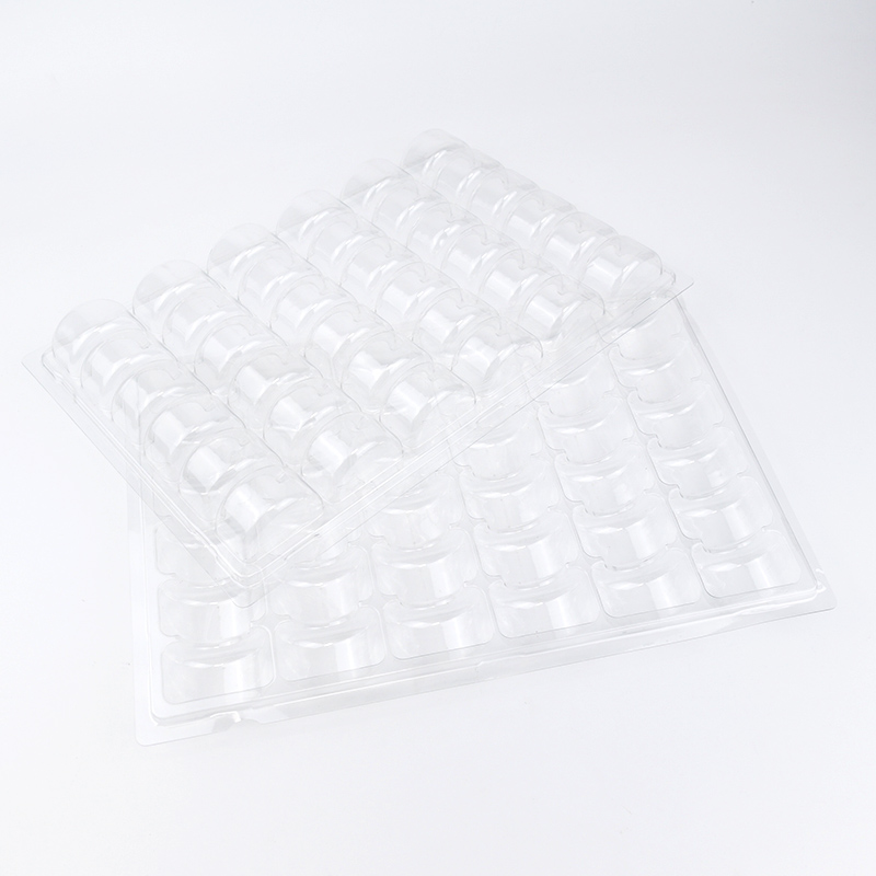 36macarons plastic blister insert tray